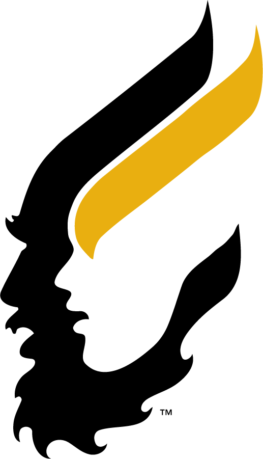 Idaho Vandals 1978-1998 Secondary Logo DIY iron on transfer (heat transfer)